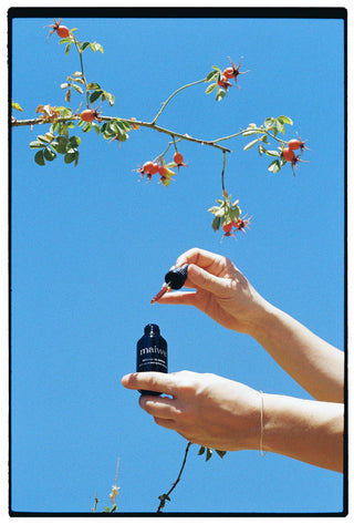 Pure rosehip oil 