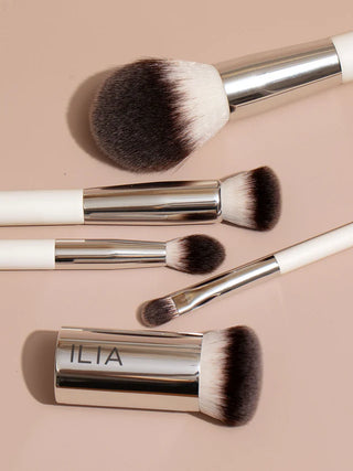 Complexion brush - foundation brush