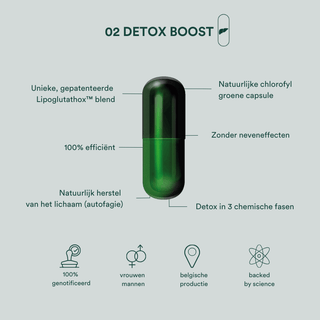 Detox Boost Vitamins - Milk Thistle/Choline/Artichoke